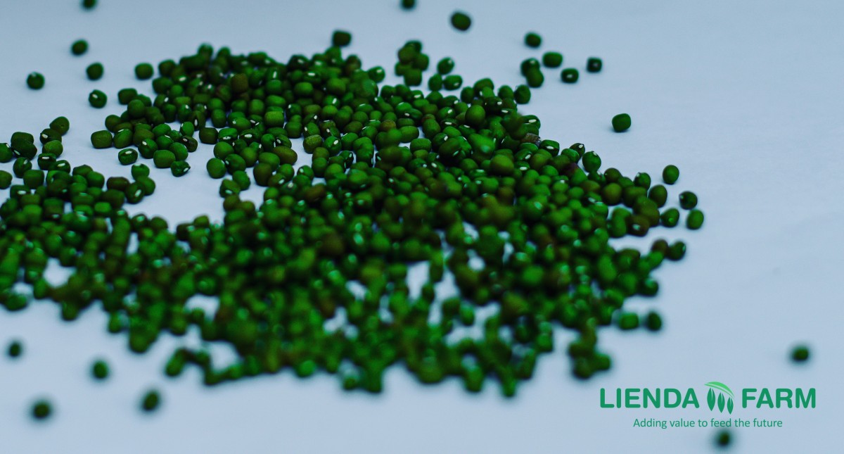 Mung bean from Tanzania